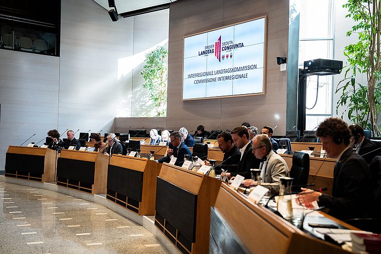 Sämtliche 20 eingebrachten Anträge wurden für die Behandlung im Dreier-Landtag 2025 zugelassen.